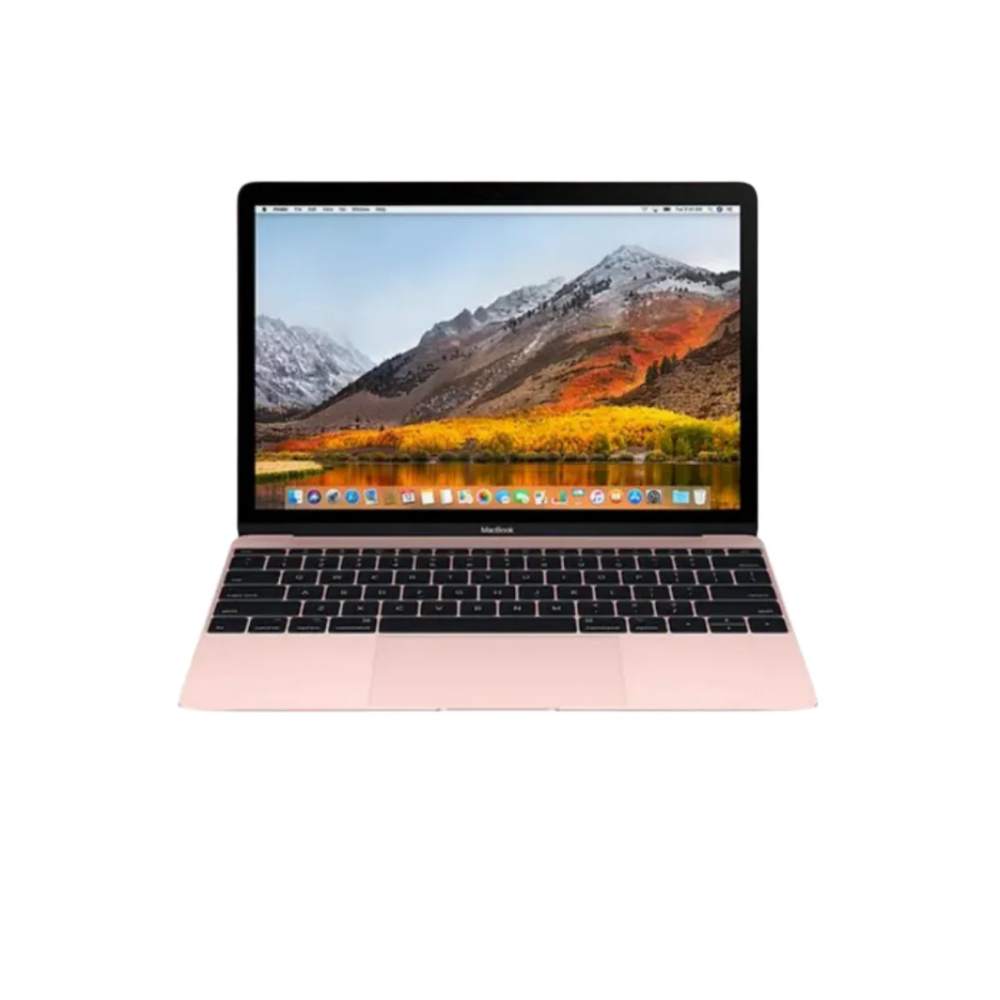 Apple MacBook (Retina, 12 2017) / Core M3-7Y32 / HD Graphics 615 1.5GB shared / Space Gray