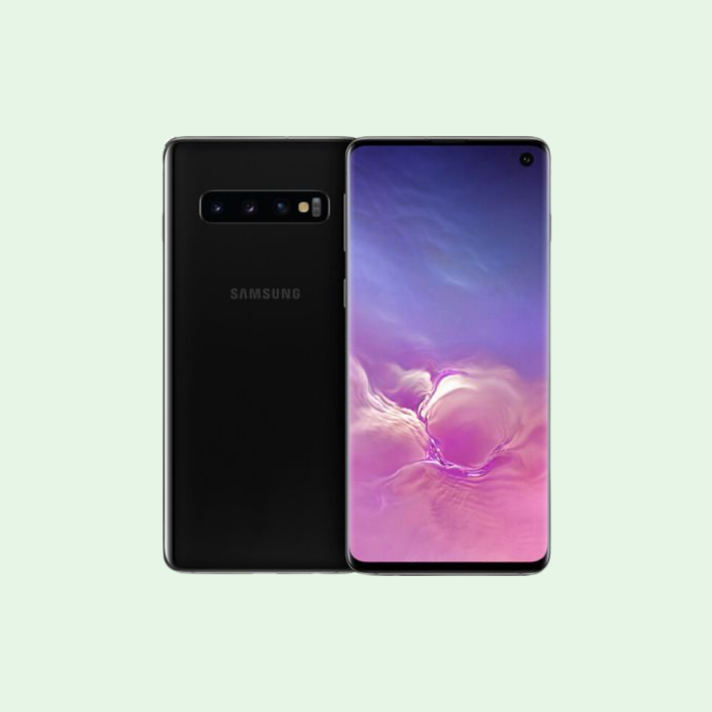 Samsung Galaxy S10 G973F DS