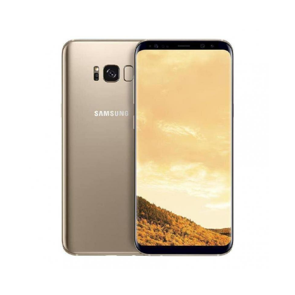 Samsung Galaxy S8 G950F DS